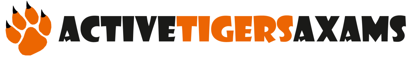 Logo Active-Tigers-Axams